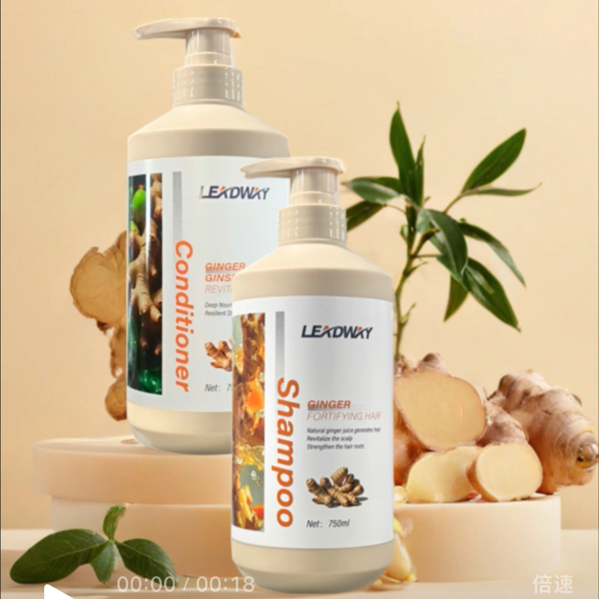 Shampoo(Ginger)-LEADWAY