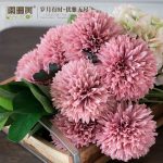 绣球花